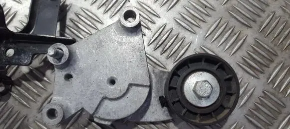 Ford Fiesta Generator/alternator belt tensioner 846143 tf129b