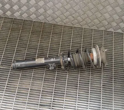 BMW X1 E84 Front shock absorber/damper 6855240