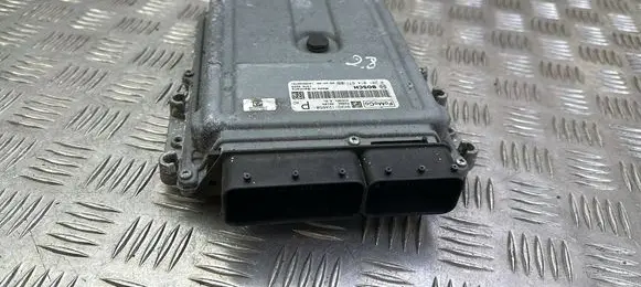 Land Rover Range Rover Sport L320 Engine control unit/module 9X2Q12A650 0281014671