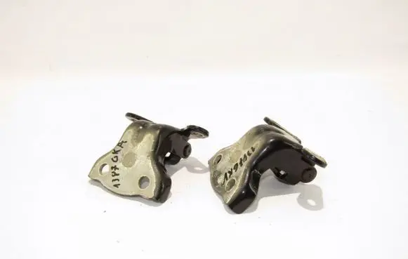 Opel Antara Rear door hinge set 