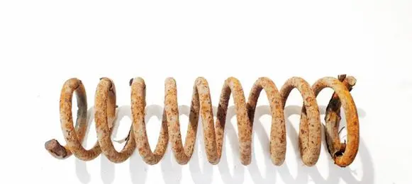 KIA Ceed Rear coil spring