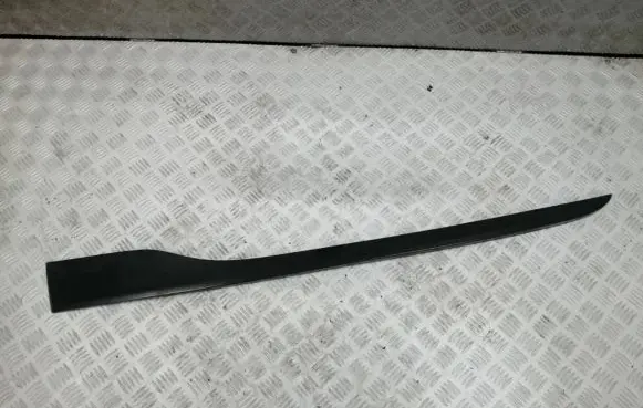 Front door trim (molding)