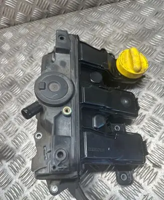 Nissan Qashqai Intake manifold 118302761R