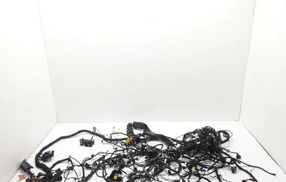 Audi Q5 SQ5 Other wiring loom 8F001573