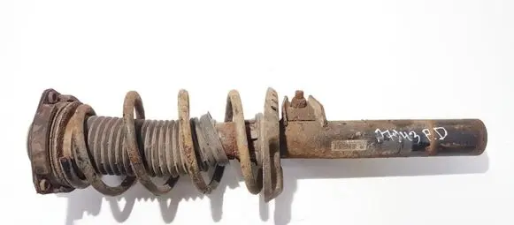 Volkswagen Golf V Front shock absorber/damper 1k0413031bf
