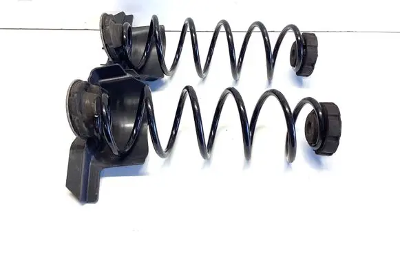 Rear coil spring