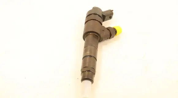 Fiat Ducato Fuel injector 0445120002