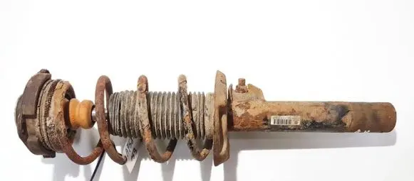 Volkswagen Golf V Front shock absorber/damper 1k0413031be