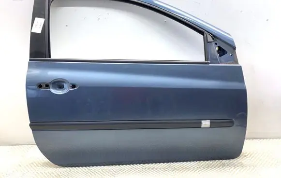 Renault Clio III Front door 