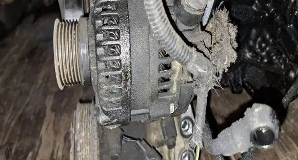 Volvo V50 Generator/alternator 