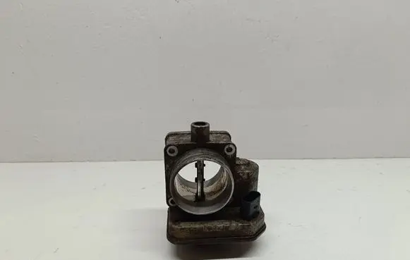 Volkswagen PASSAT B6 Throttle valve 038128063J