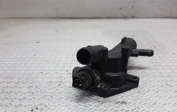 Thermostat/thermostat housing