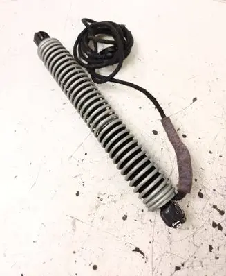 Tailgate strut
