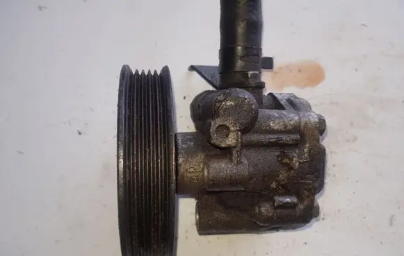 KIA Carnival Power steering pump