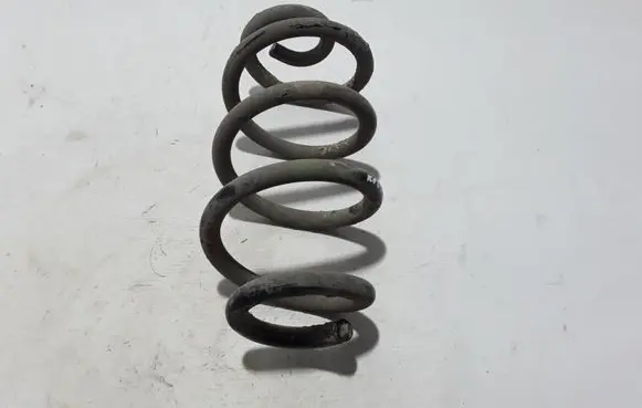 Renault Koleos I Rear coil spring 550209535R