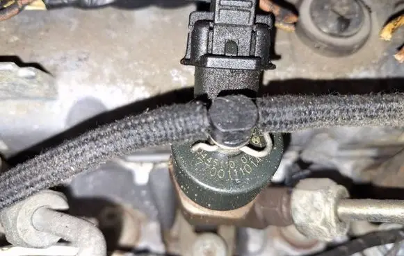 Renault Scenic I Fuel injector 0445110021