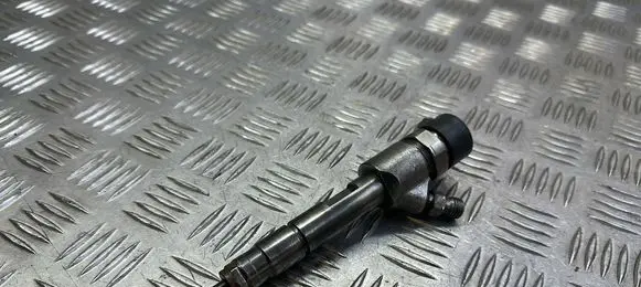 Suzuki Grand Vitara II Fuel injector 8200389369