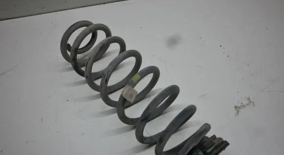Rear coil spring