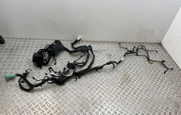 Engine installation wiring loom