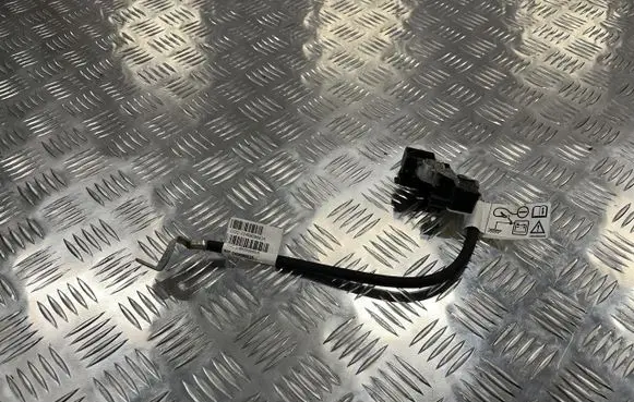 Dacia Sandero III Positive cable (battery) 240808883R