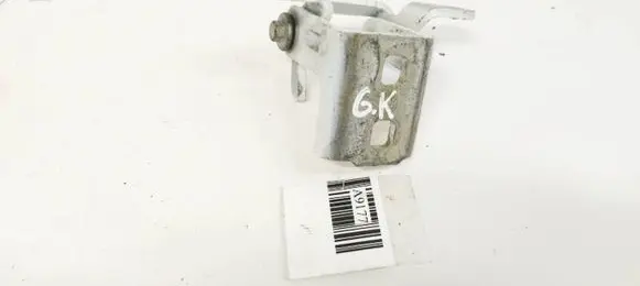 Rear door lower hinge