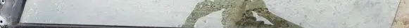 Front door glass trim molding
