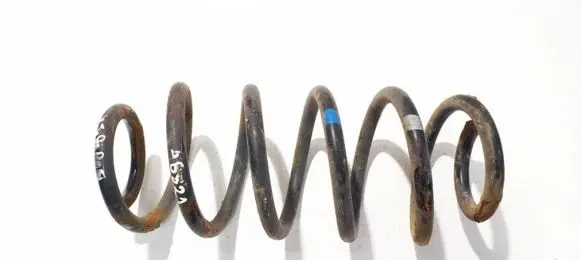 Toyota Urban Cruiser (XP110) Rear coil spring