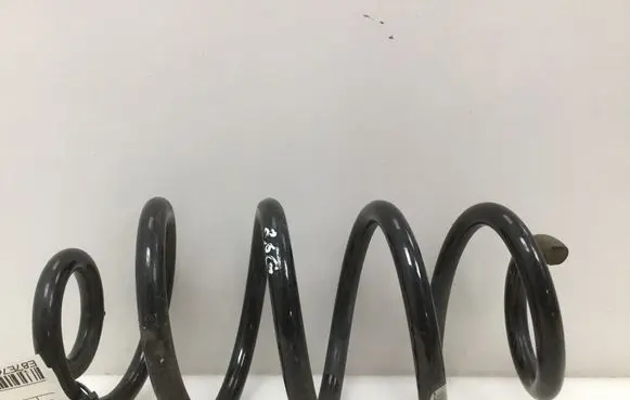 Nissan Juke I F15 Rear coil spring 