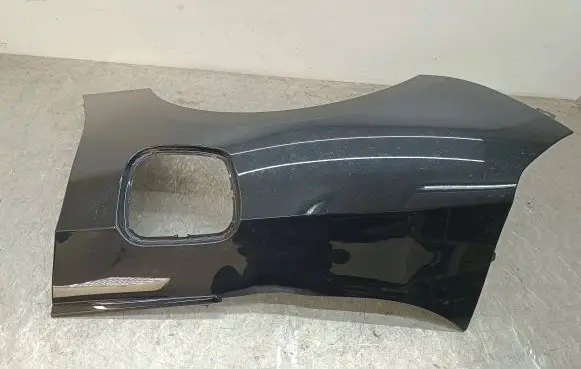Fender