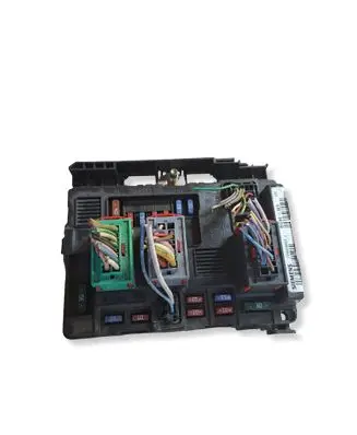 Citroen Xsara BSM Control unit T118470003J