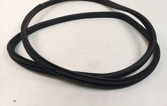 Nissan Juke I F15 Rear door rubber seal (on body) 