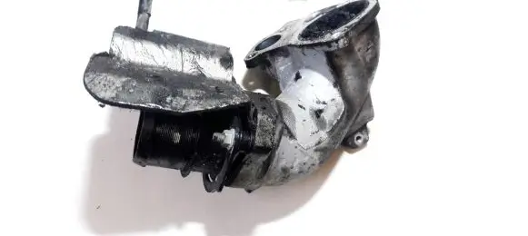 Citroen Xsara Picasso Throttle valve