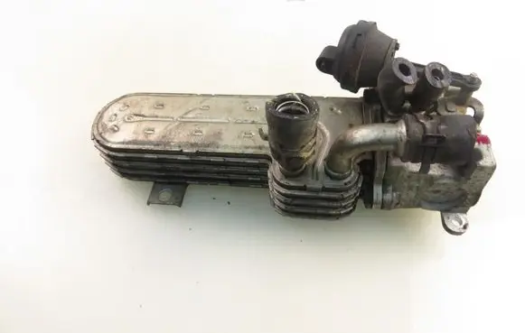 Volkswagen Touran I EGR valve 03G131513J 03G131063F