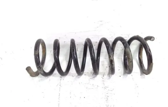 Renault Scenic RX Rear coil spring