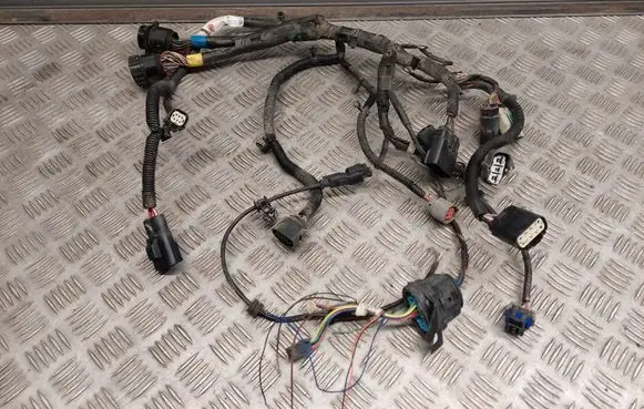 Tesla Model S Other wiring loom 100531200G