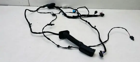 Audi Q8 e-tron Rear door wiring loom 4KE971687F