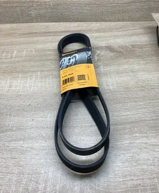 Volkswagen PASSAT B5 Alternator belt 6PK1635