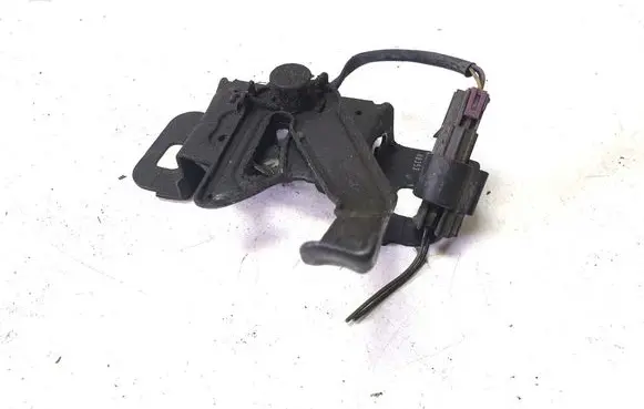Opel Insignia A Engine bonnet (hood) release handle 13309882