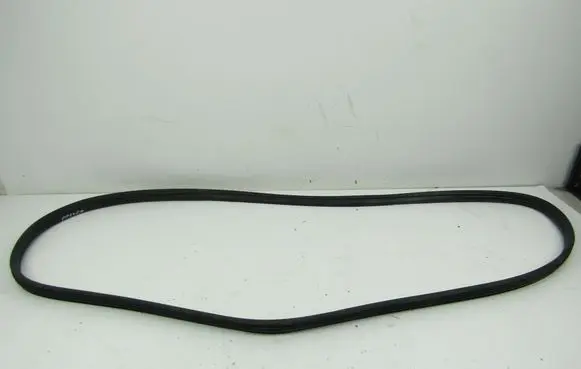 Renault Clio III Front door rubber seal 