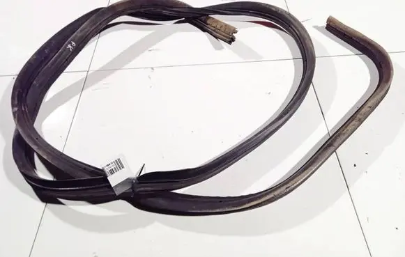Opel Movano A Rubber seal front coupe door 