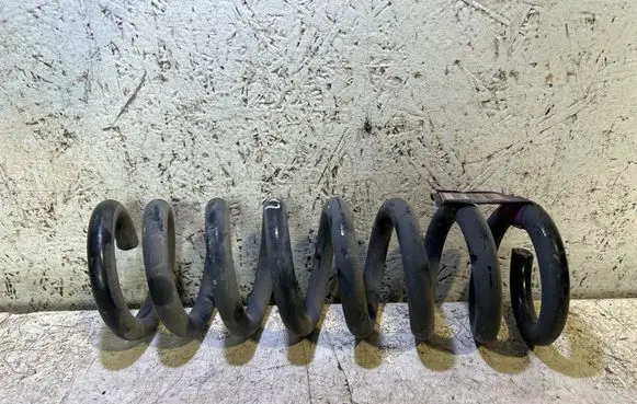 Rear coil spring