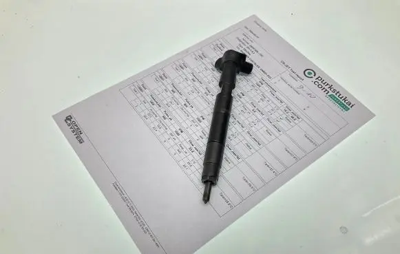 Mercedes-Benz Sprinter W906 Fuel injector A6510703087