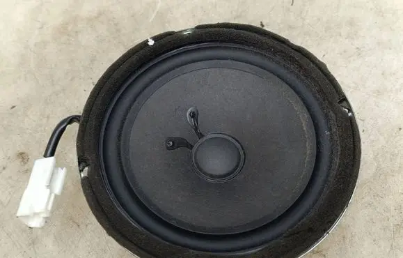 Hyundai Santa Fe Rear door speaker 963002B000