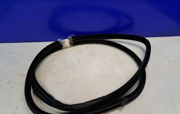 Volvo S80 Rubber seal rear door 30649295