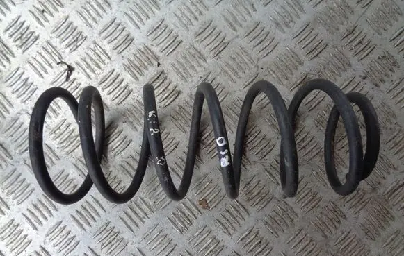 Rear coil spring
