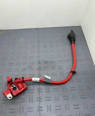 BMW 5 F10 F11 Positive cable (battery) 9217036 EEZ17Z