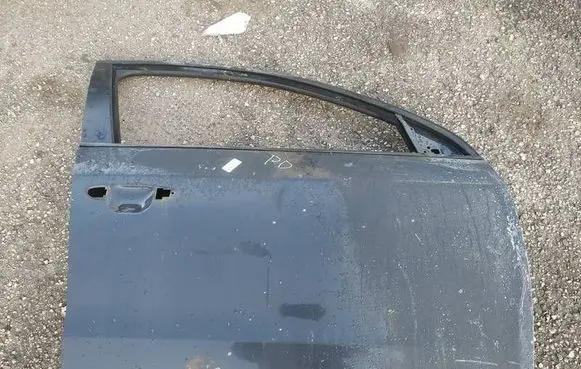 Volkswagen PASSAT B7 Front door pilkos