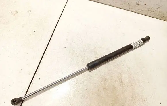 Tailgate/trunk strut/damper
