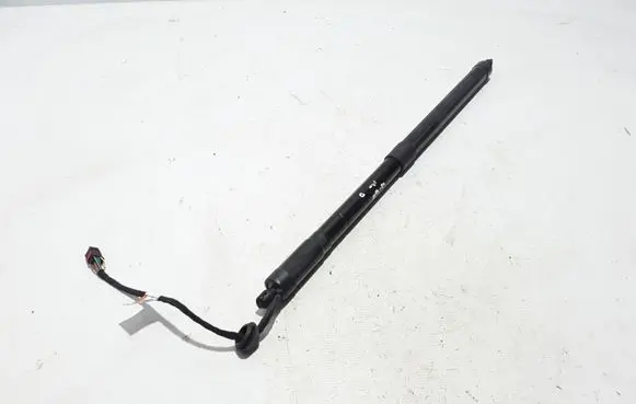 Tailgate strut