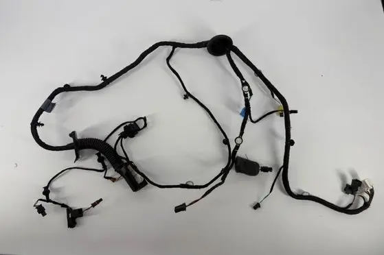 Audi S5 F5 Front door wiring loom 8W7971030CS 25102019 TAB010403DH